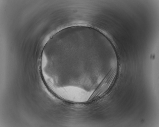 X0000114391383200911131333