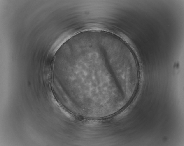X0000114391385200911131333