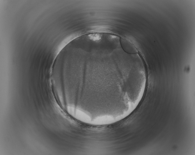 X0000114391386200911131333