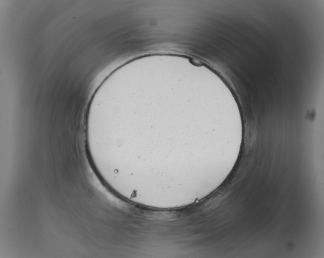 X0000114391387200911131333