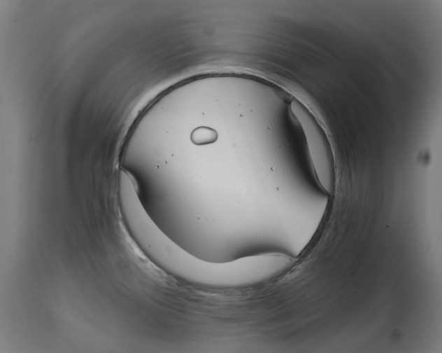 X0000114391388200911131333