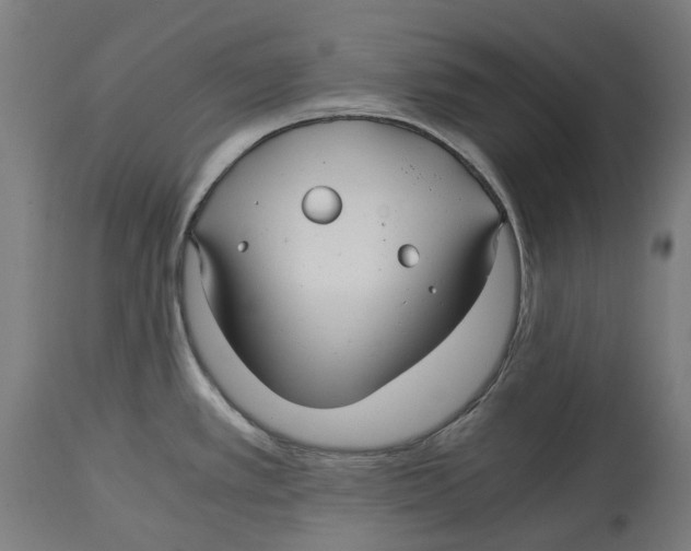 X0000114391389200911131333