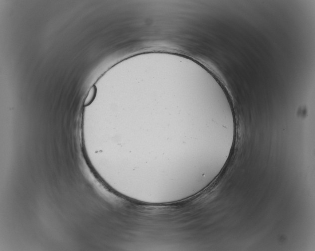 X0000114391391200911131333