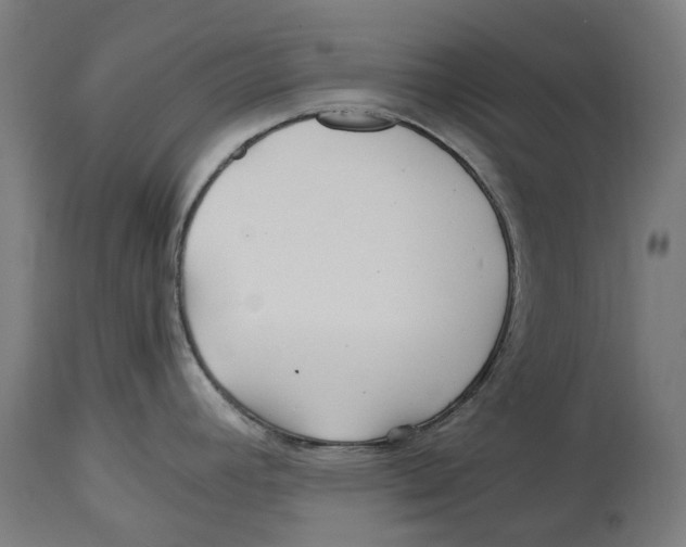 X0000114391392200911131333
