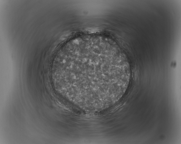 X0000114391393200911131332