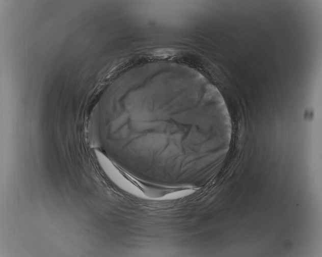 X0000114391394200911131332
