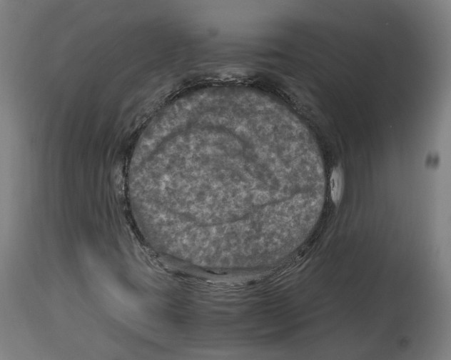 X0000114391395200911131332