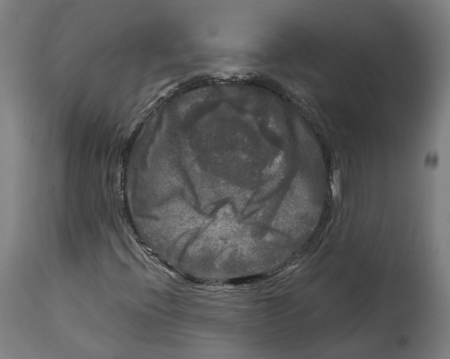 X0000114391396200911131332