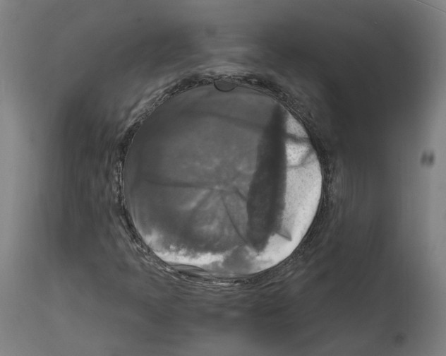 X0000114391397200911131332