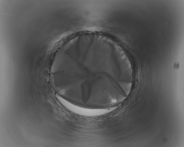 X0000114391398200911131332