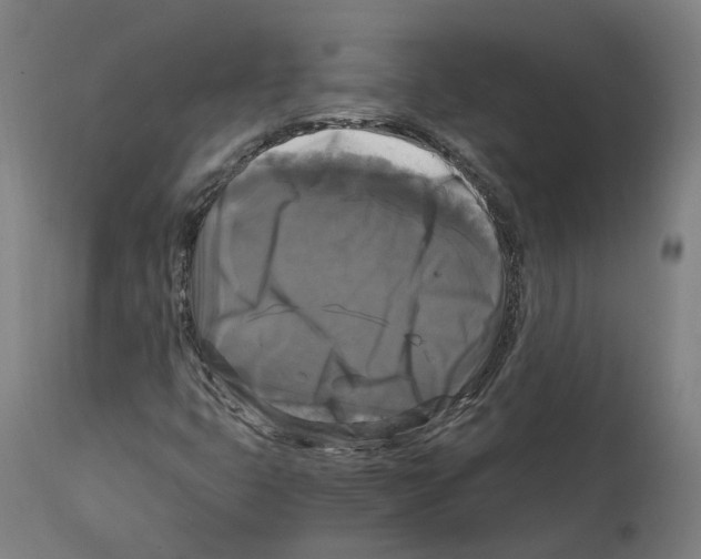 X0000114391399200911131332