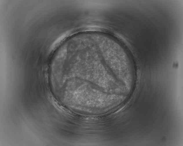 X0000114391403200911131332