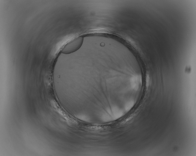 X0000114391405200911131332