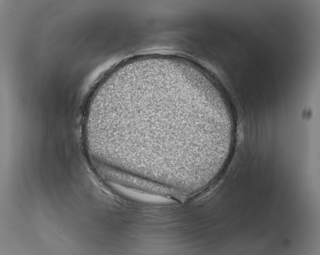 X0000114391406200911131332