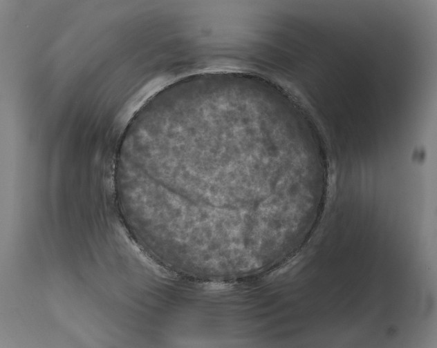 X0000114391409200911131332
