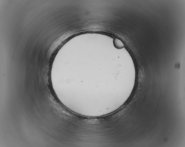 X0000114391410200911131332