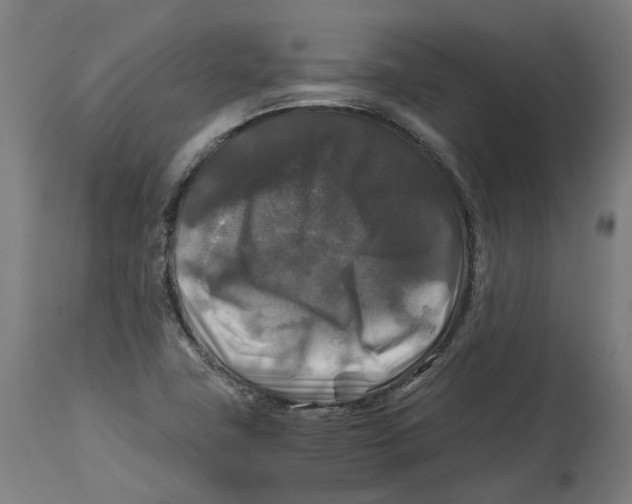 X0000114391411200911131332