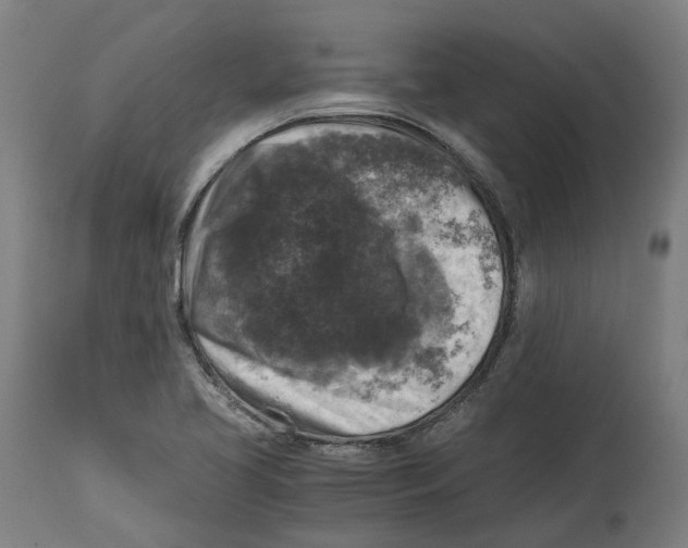 X0000114391413200911131332