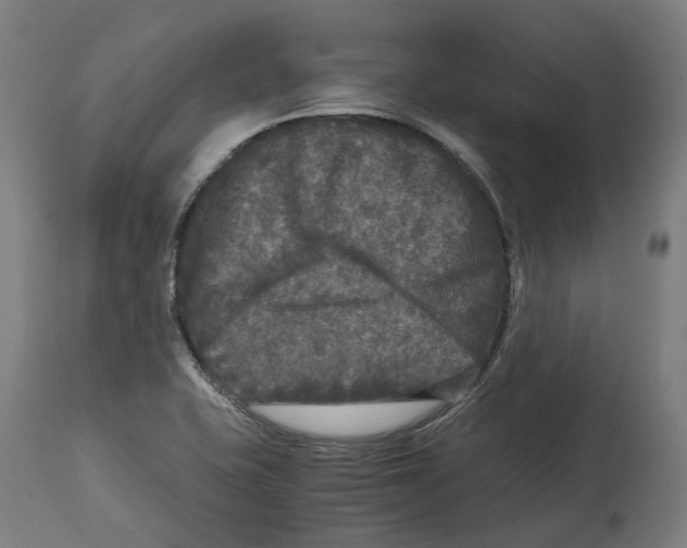 X0000114391415200911131332