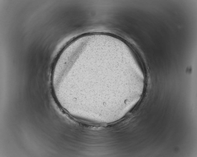 X0000114391416200911131332
