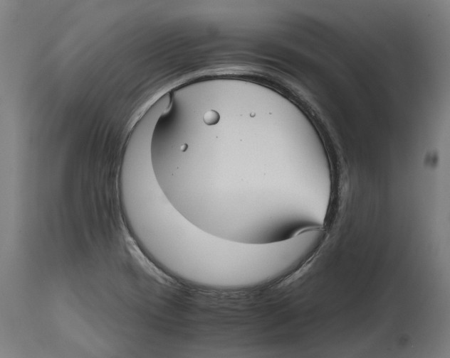 X0000114391417200911131332