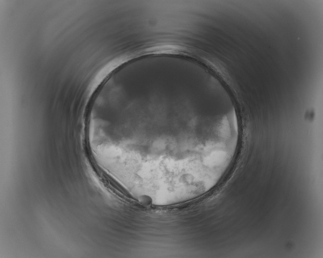 X0000114391418200911131332