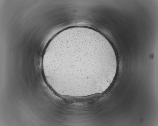 X0000114391420200911131332