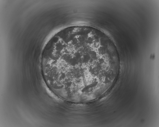 X0000114391421200911131332