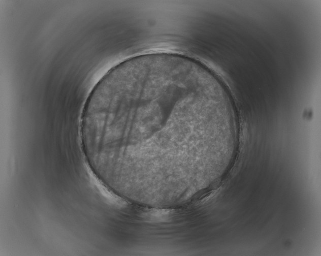 X0000114391423200911131332