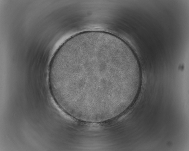 X0000114391424200911131332