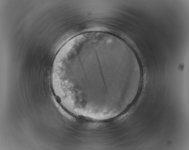 X0000114391425200911131332