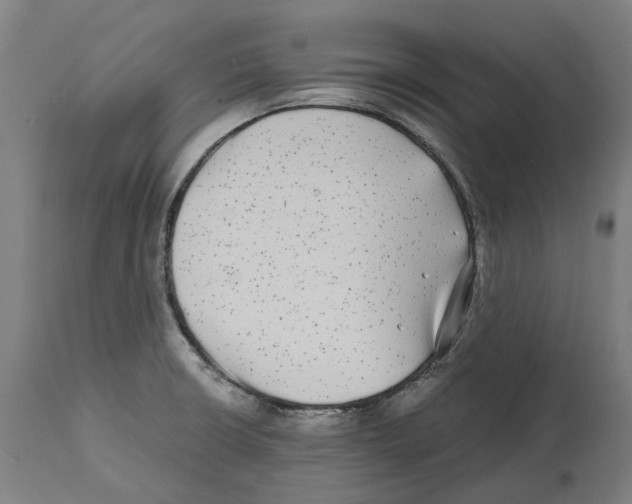 X0000114391426200911131333