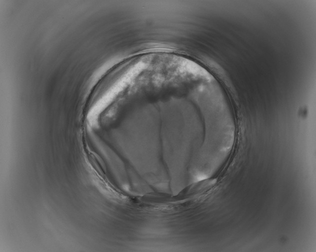 X0000114391427200911131333