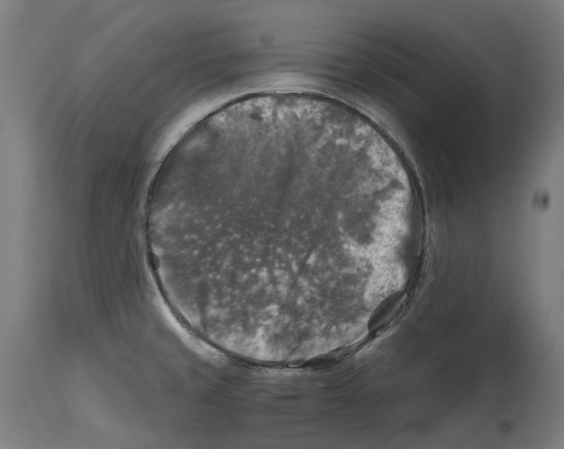 X0000114391429200911131333