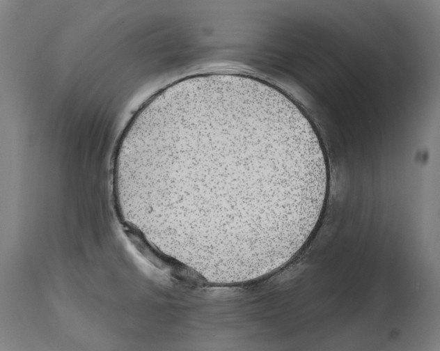 X0000114391430200911131333