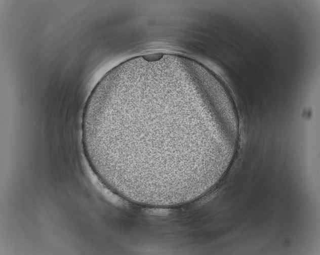 X0000114391431200911131333