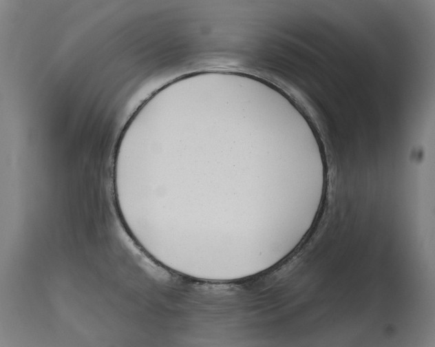 X0000114391432200911131333