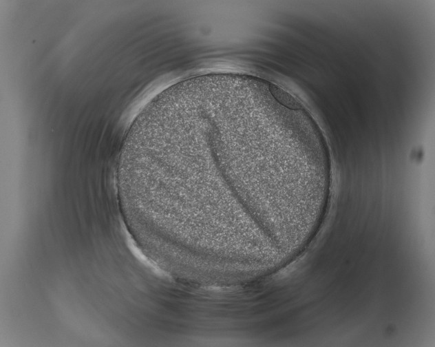 X0000114391433200911131333