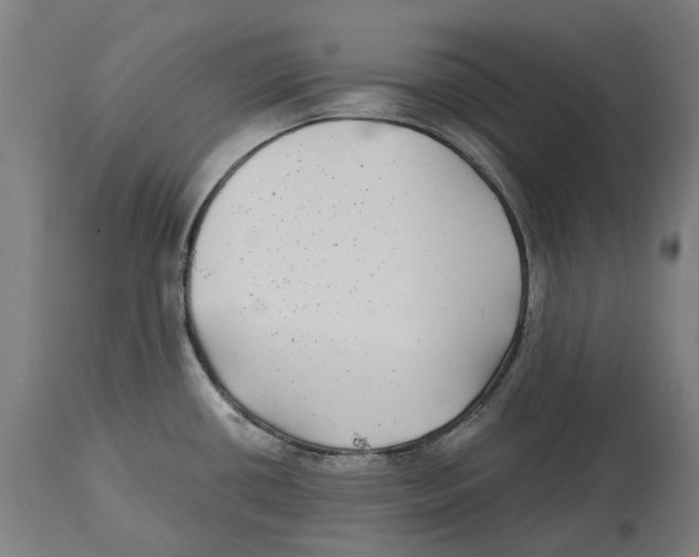 X0000114391434200911131333