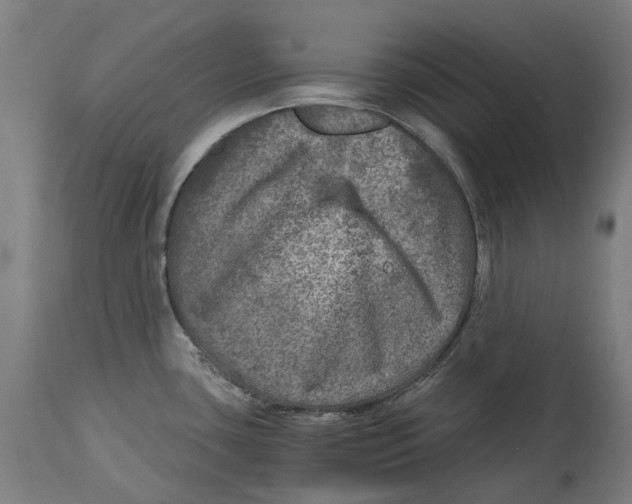 X0000114391435200911131333