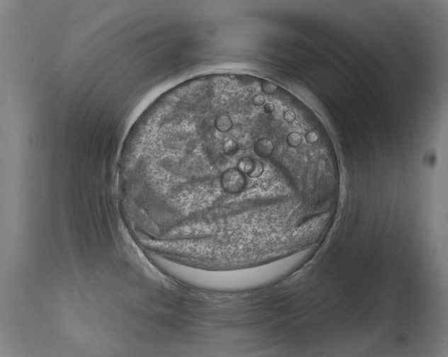 X0000114391436200911131333