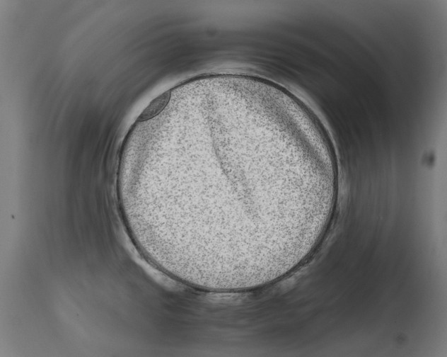 X0000114391437200911131333