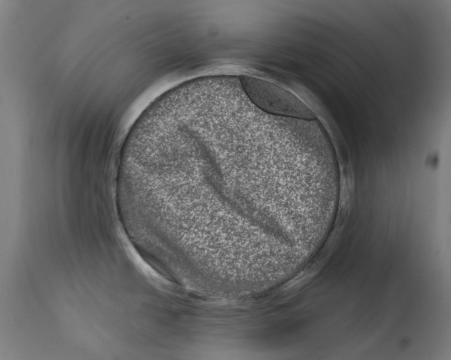 X0000114391438200911131333