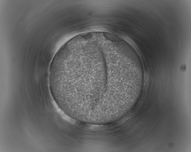 X0000114391439200911131333