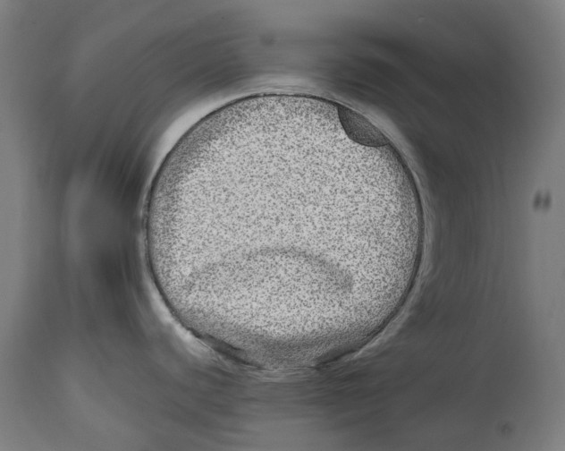 X0000114391440200911131333