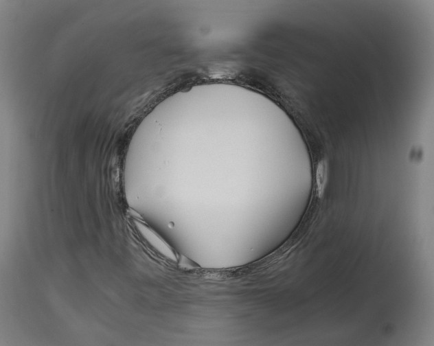 X0000114391443200911131332