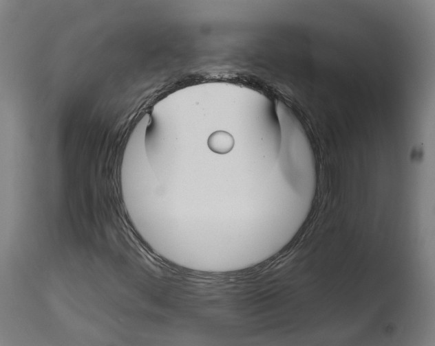 X0000114391444200911131332