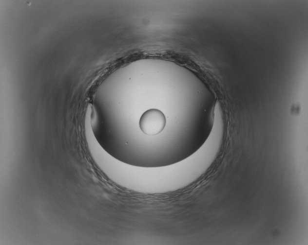 X0000114391445200911131332