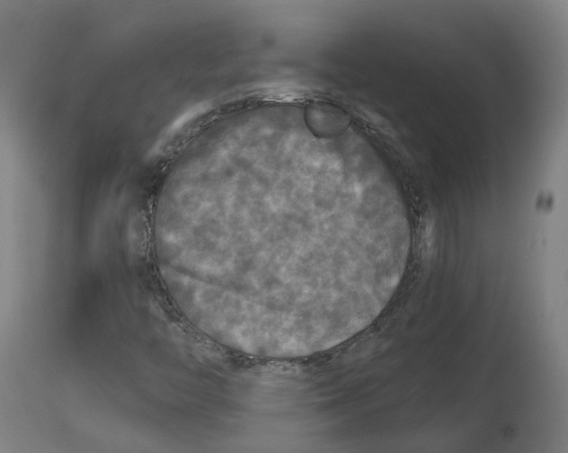 X0000114391446200911131332