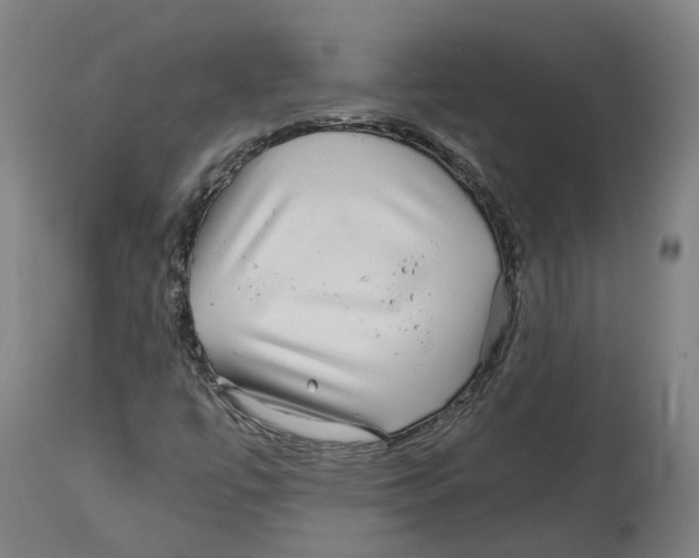 X0000114391447200911131332